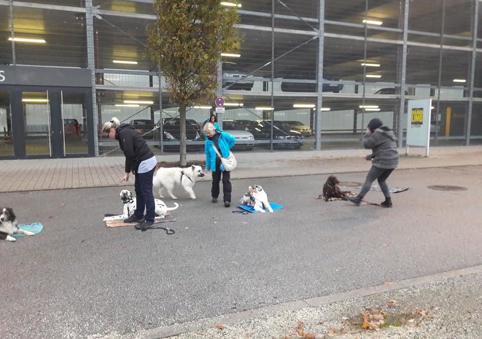 Auf deinen Platz / auf deine Decke